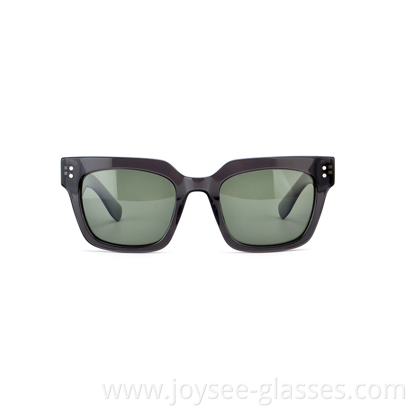 Big Lenses Sunshades 7